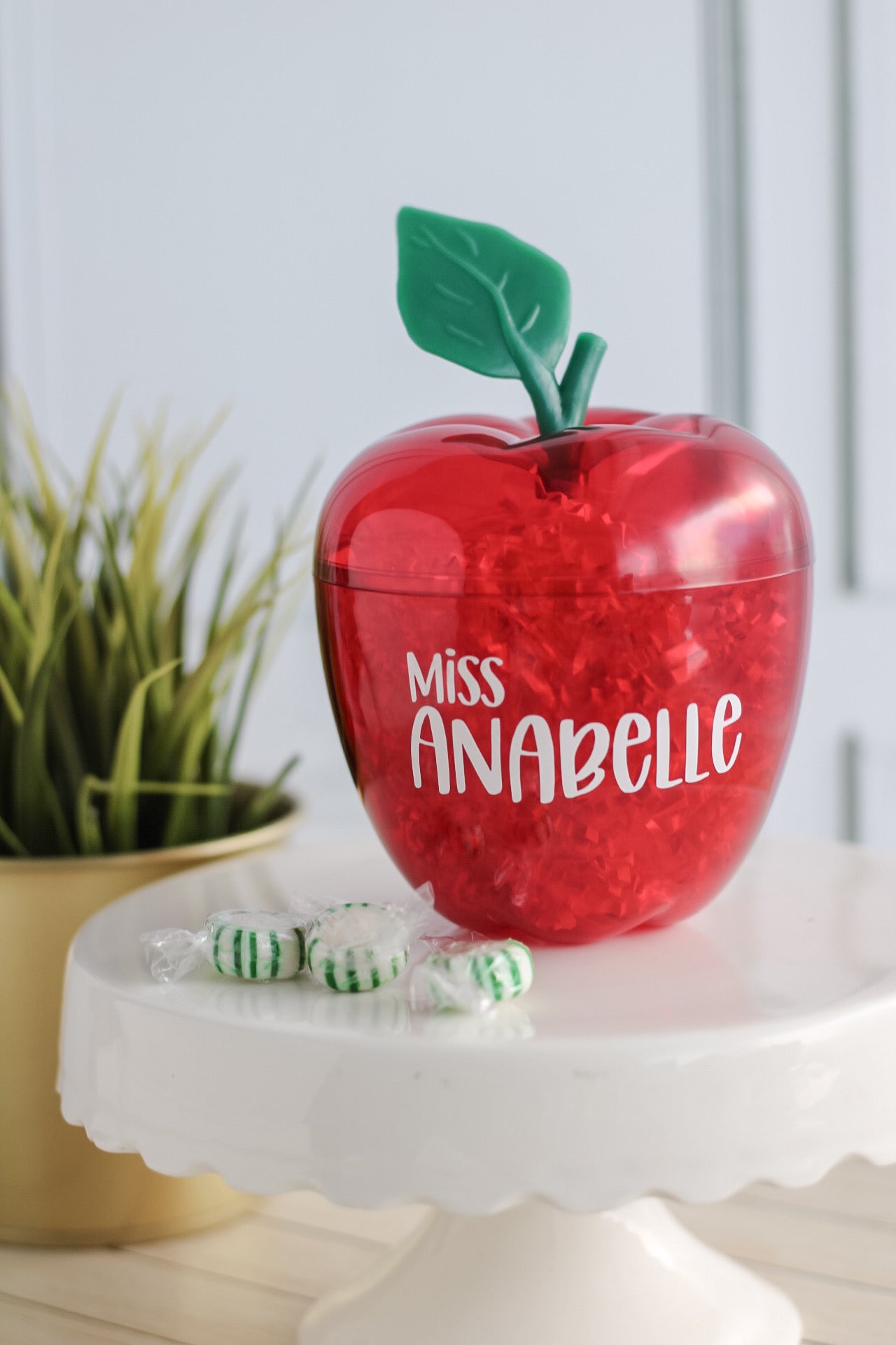 Apple 🍎 Teacher’s Gift Set
