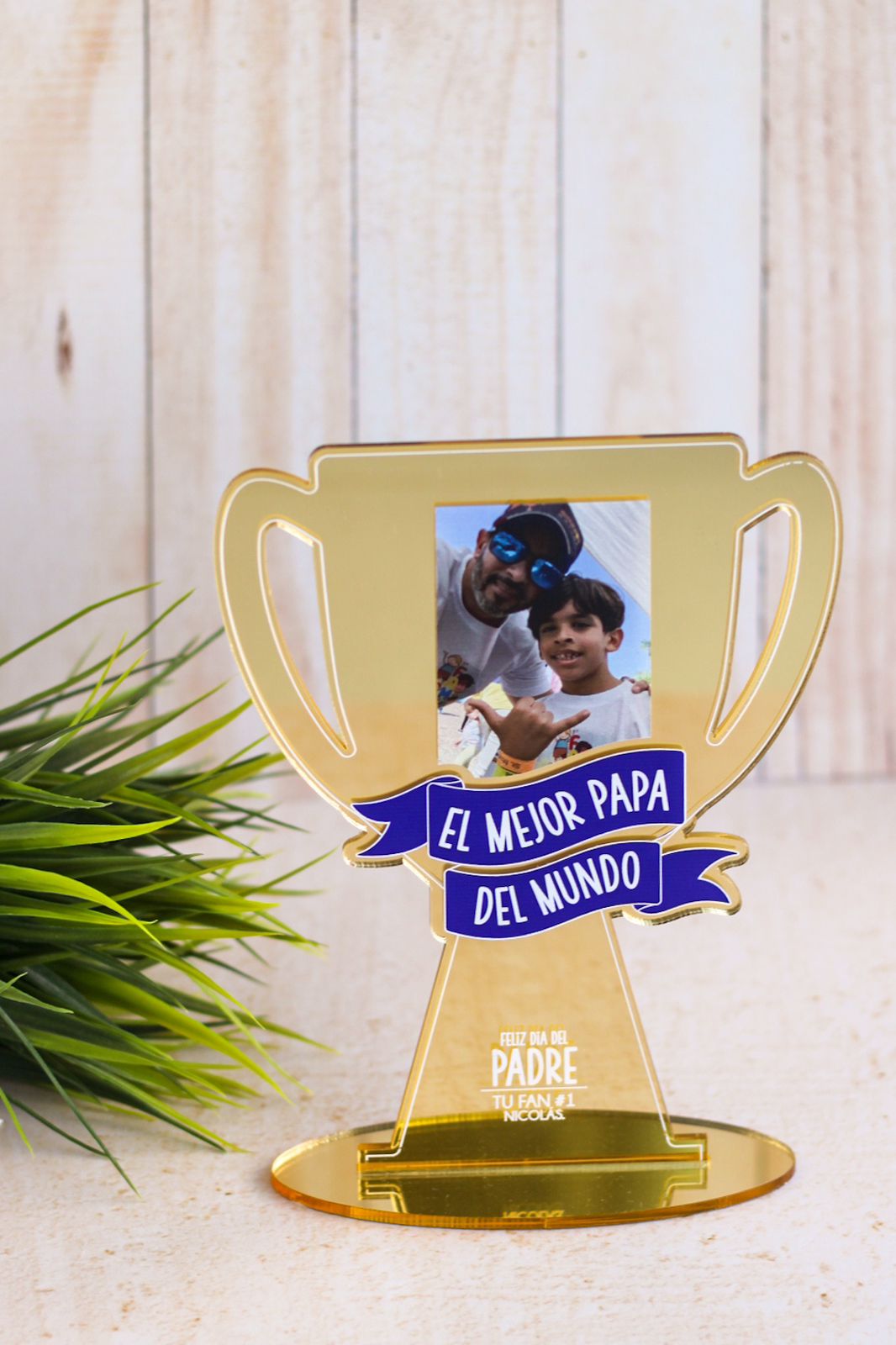 Trofeo Mejor Padre del Mundo - Acrílico